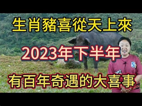 2023屬豬買房|2023年買房運勢大揭曉 「2生肖」錢途無限 